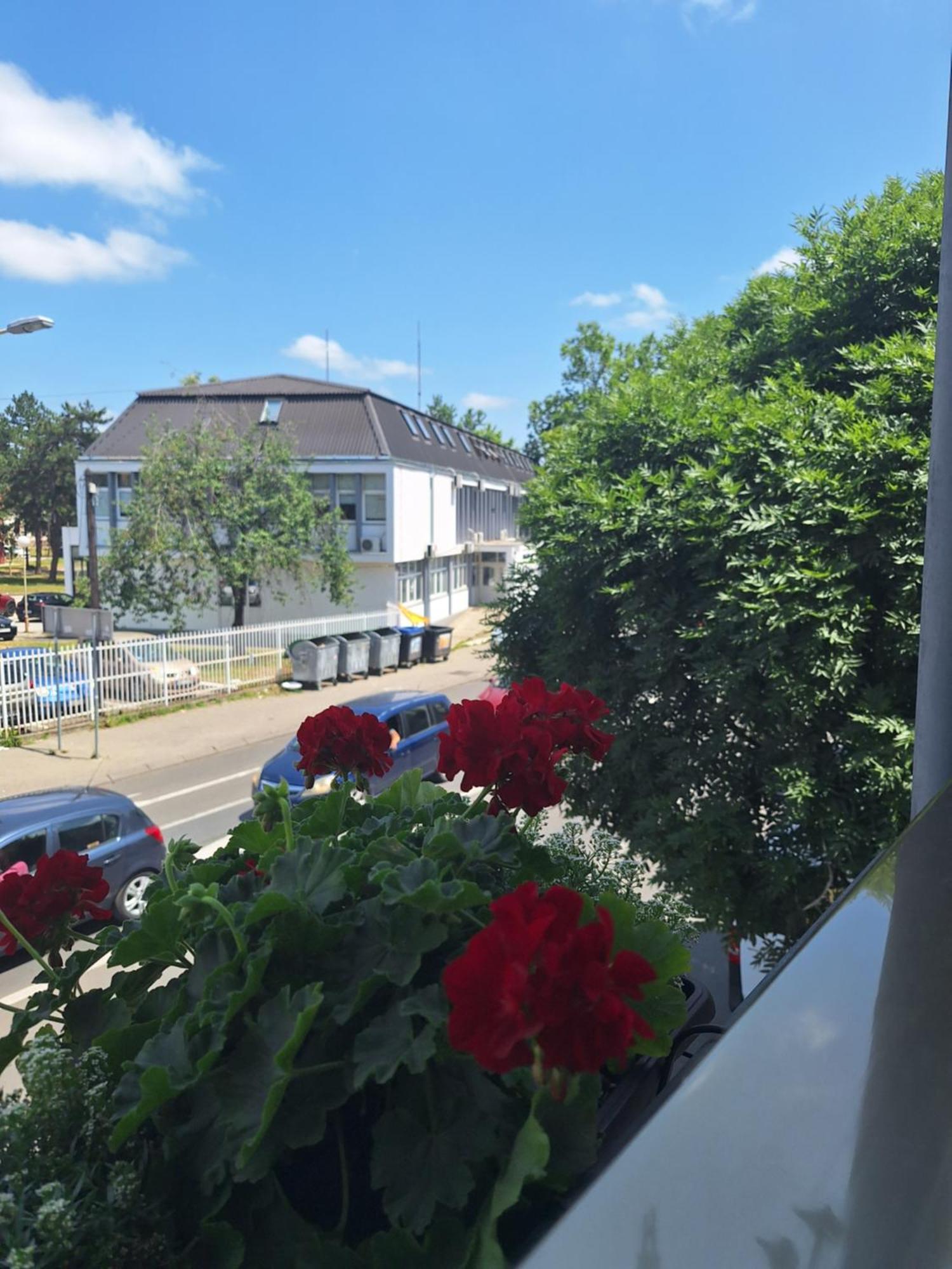 Garni Hotel Ema Kragujevac Exterior photo